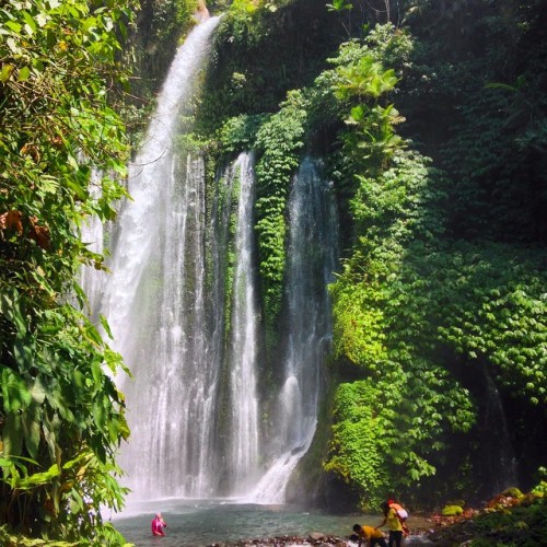 wheredoyoutravel:  SENARU WATERFALL, Flores, Indonesia - We escaped the Gilis for a day to road trip