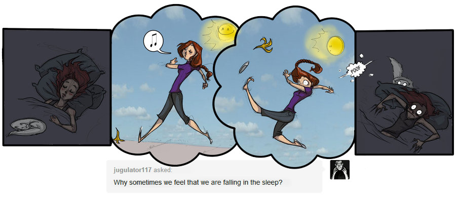 science-junkie:  Why sometimes we feel that we are falling in the sleep? It depends