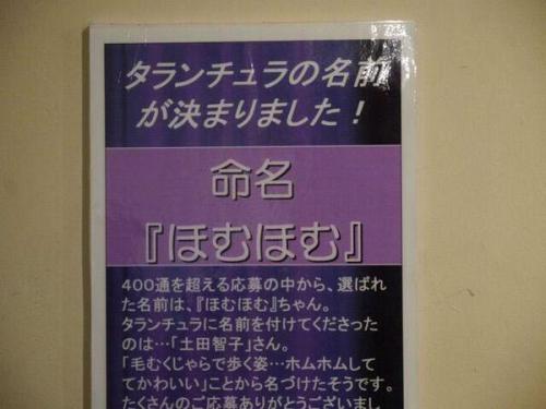 keitanoaji:reploreさんはTwitterを使っています: “👌 http://t.co/auzmBV6lMp”