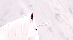 elsamars:                                 Wrong will be right, when Aslan comes in sight,           