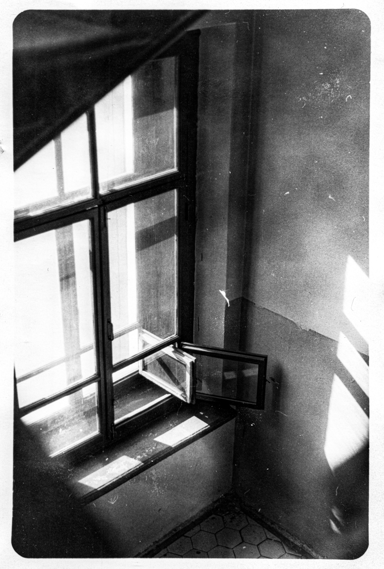 With the Wind2021, Saint-Petersburg10х15, Unibrom (1976) With the Wind2021, Saint-Petersburg10х15, Unibrom (1976)