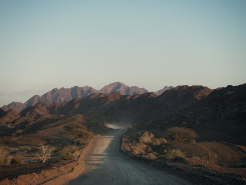 thephotoregistry:  From HajarOlga Petroff