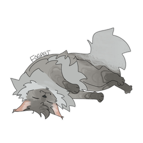 I Dont Even Know If Tumblr Is A Good Site For This But I'm Out Of Options! So: