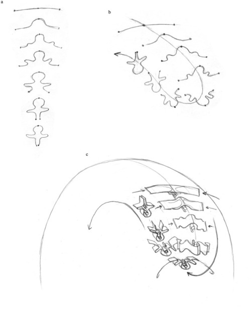 geometrymatters: Embryo geometry: a theory of evolution from a single cell to the complex vertebrate