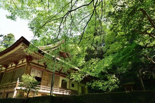 norisunorin:  滋賀県 東近江市 百済寺 Siga Higashiomi Hyakusaiji