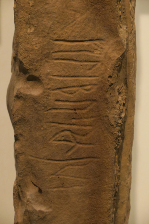 Runic and Pictorial Memorial Stones, The National Museum of Scotland, 24.2.17.