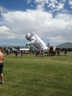 Coachella!