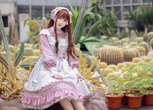 Milu Forest Bright like Spring Cherry Blossoms series preorder, now openMy Australia-based Taobao sh