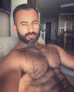 Sweaty Hairy and Lickable