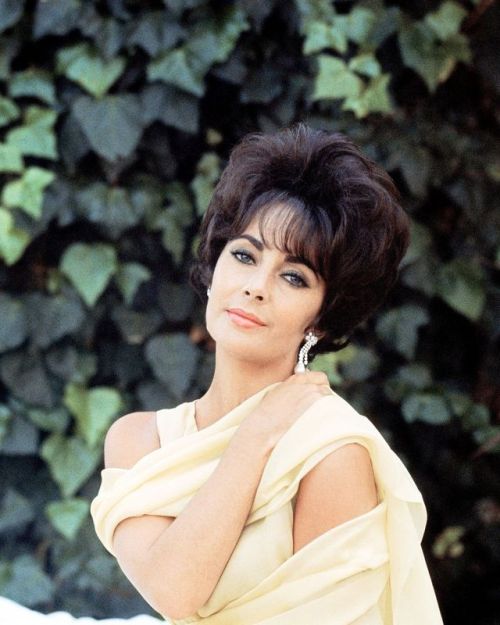 Elizabeth Taylor photographed by Mark Shaw