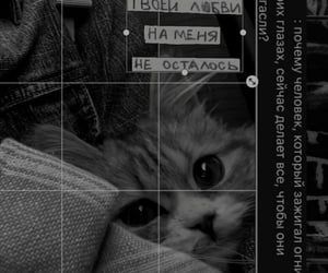 images Tumblr Aesthetic Pfp Dark sickkedits tumblr blog tumgir
