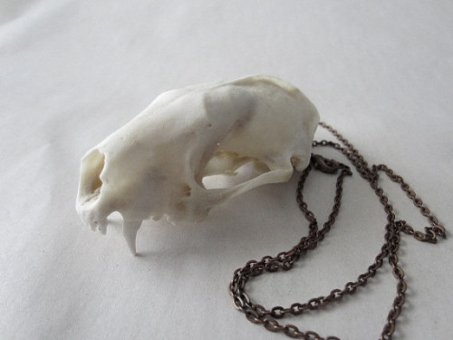 Bone jewelry from BlackWolfTradingPost 