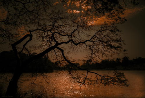 Porn photo kein-wasser-ente:  Margareth Perfoncio (500px)