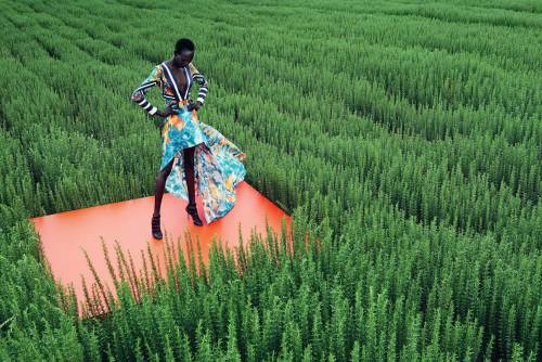 blackfashion:Fashion Photography by Julia Noni