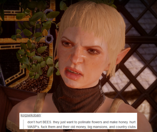 bubonickitten:Dragon Age: Inquisition + text posts, part 8Someone take my laptop away, I can’t stop making these.  More DA text post memes: Marian Hawke: 1, 2, 3, 4 Garrett Hawke: 1, 2, 3 Anders: 1, 2, 3, 4 Fenris: 1, 2 Isabela: 1, 2 Merrill: 1, 2,