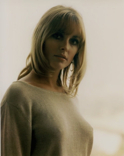 hannahsfollies:  sharon tate  porn pictures