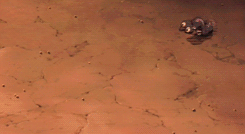kikisdeliveryservices:  Faceless bodies → Spirited Away       