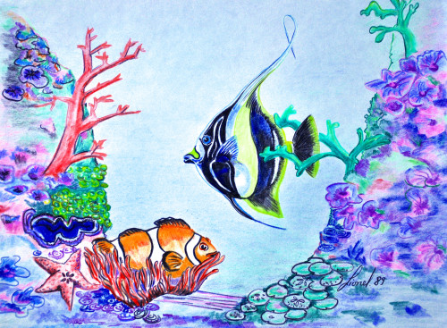 Coloring pencils - One of my earlier fish art.