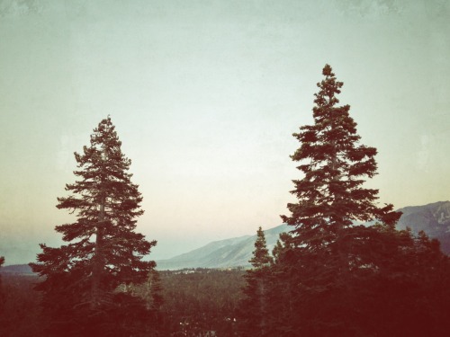 saltandsteel:  Find things that excite your heart. 