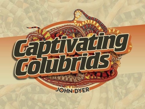 A captivating logo that I made for John Dyer #colubrids #colubrid #colubridsofinstagram #snakelogo #