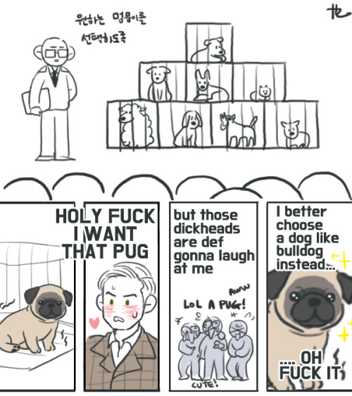 yummy-casburger: The pug life chose him