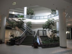 dead-malls:  Macon Mall. Macon, GA. opened