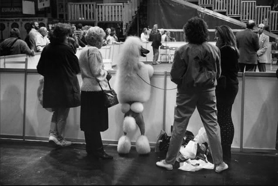 artchipel:  Elliott Erwitt (b.1928, France) Magnum member and humorous observer of