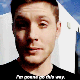 livingthegifs:"That’s stupid.” [x] By: thejennire   ✦Send your request [x]✦