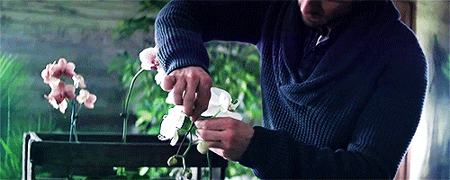 onceuponanobsessedfan:  I AM DEAD SOMEONE SAVE ME
