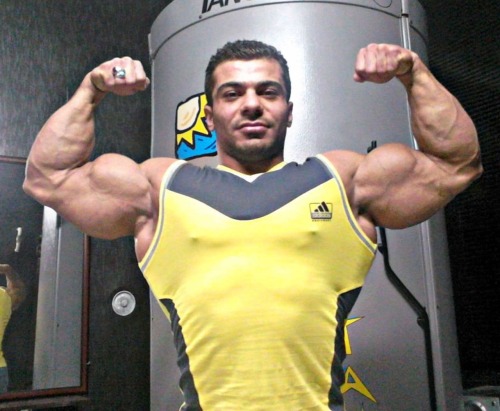 MusclePuppies