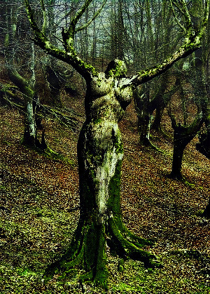 wlnterwonderland:  Dryads In Greek mythology, a dryad is a tree nymph, or a tree
