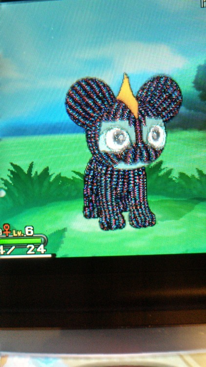 revereche: spoopyisvideo: So I caught this Litleo earlier and…..it looked like this. ._. Is t