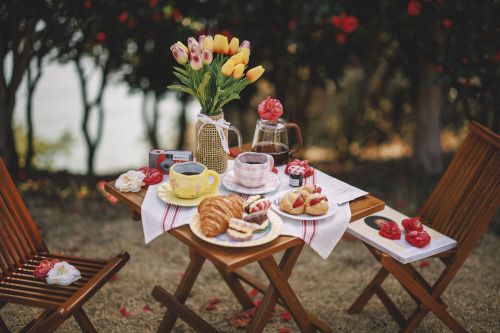 2022-03-27Spring, Camellia PicnicCanon EOS R3 + RF50mm f1.2LInstagram  |  hwantastic79vivid