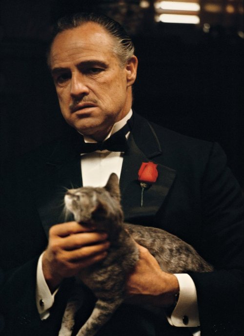 Steve Schapiro (American, b. 1934, NYC, NY, USA) - Marlon Brando is Don Vito Corleone.  Photography