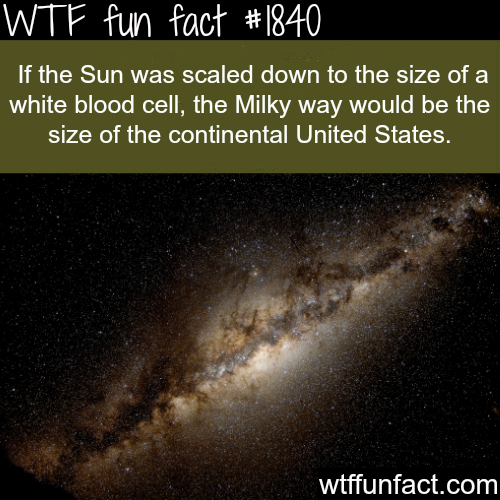 wtf-fun-factss:  The sun compared to the Milky way - WTF fun facts