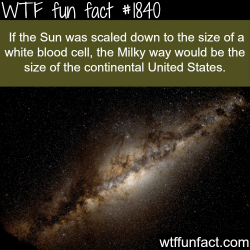 wtf-fun-factss:  The sun compared to the Milky way - WTF fun facts