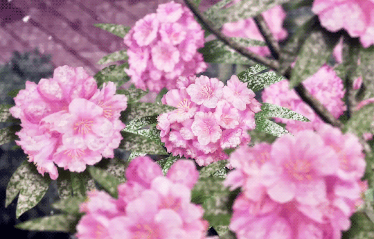 863a6d5c9e0ac356a2ffe196291afeca8a94a799.gif