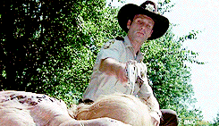 roplusglam:fangirl challenge [9/10 tv shows]↳ The Walking Dead