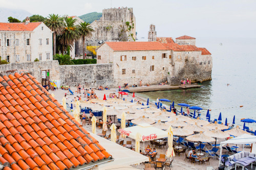 floralls: Budva, Montenegro  by  Rebecca Dale