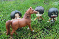 nendoroid-adventures:  Heichou can’t reach his horse… 