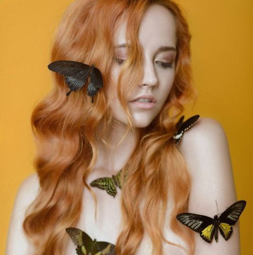 ziomantaz:  Butterflies…