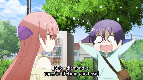 anicastes:But a diamond is once-in-lifetime purchase!
