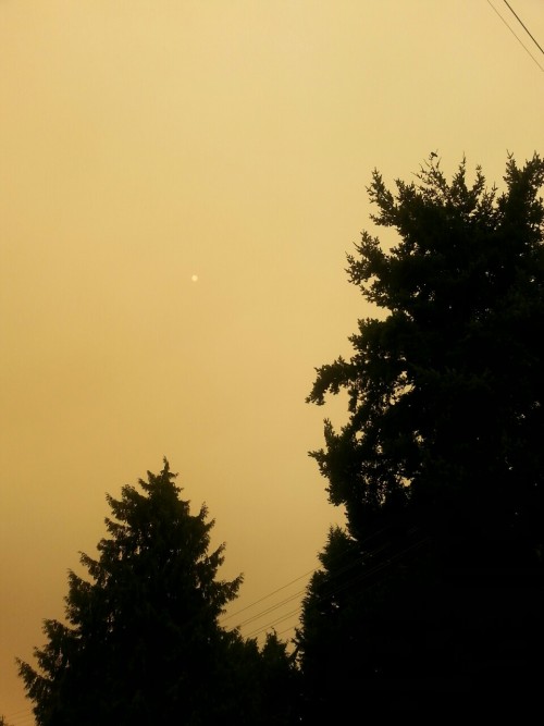 nicolechantellexo:Right now, in the province of British Columbia, Canada, there are 170 burning wildfires. This is the result. A smoke filled sky with an eery orange glow. You can barely see the sky. Please be cautious in this dry weather!   Ps, this