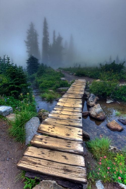 coiour-my-world:Foggy day at Tipsoo Lake, Mt. Rainier National Park by Alfonso Palacios