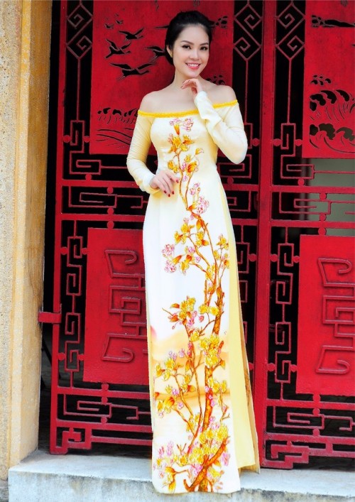 Vietnamese ao dai by Thai Tuan