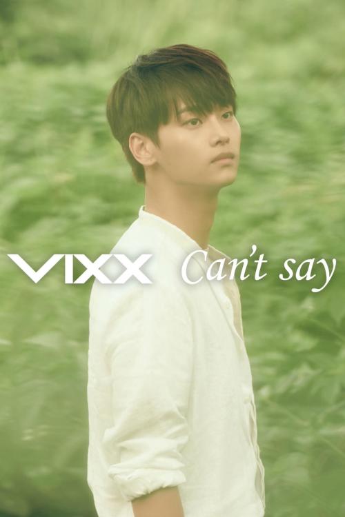 allaboutmykpop:  VIXX 2nd Japanese Single – Can’t Say Teasercredit- VIXX Japan 