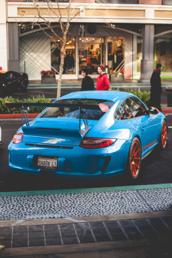 thephotoglife:  SharkWerks.