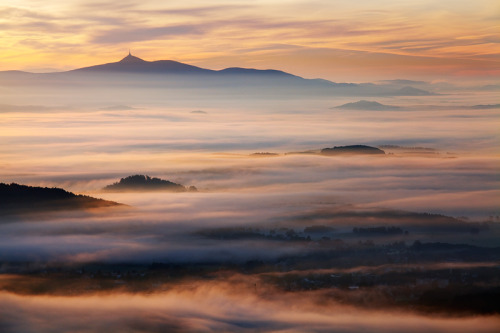 XXX awkwardsituationist:  early winter fog over photo