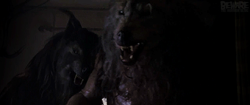 Dogman Movie monsters, Mythical creatures, Magical wolf