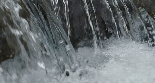 tumblr_nf3s5gSk7R1r4pcv5o2_540.gifv